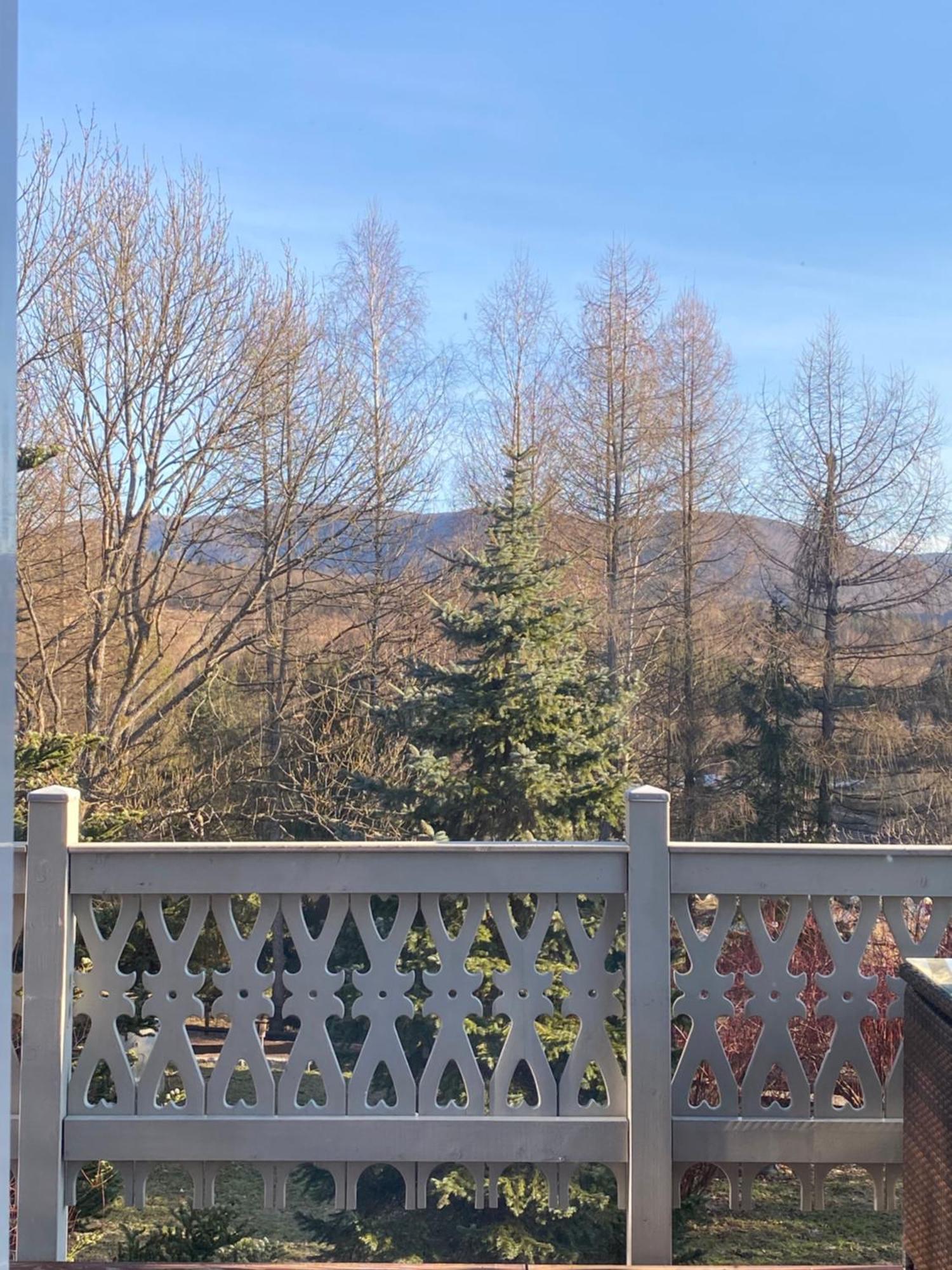 Mirkowka Chalet *