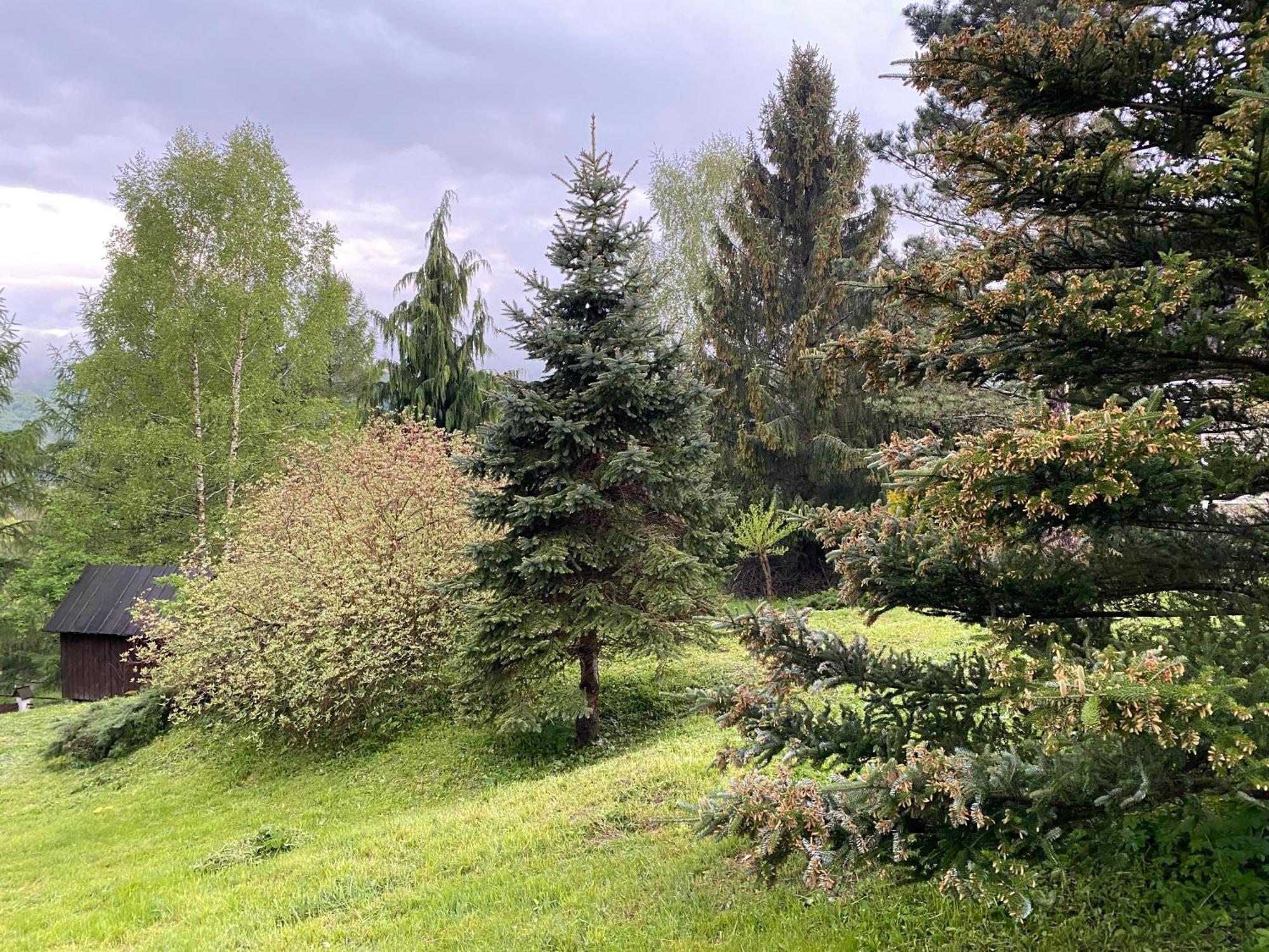 Chalet Mirkowka